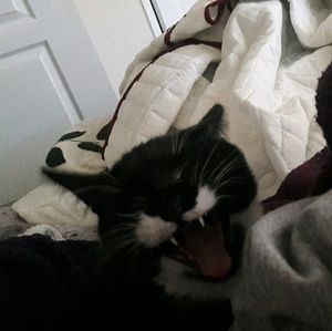 Meet your Posher, Katherine